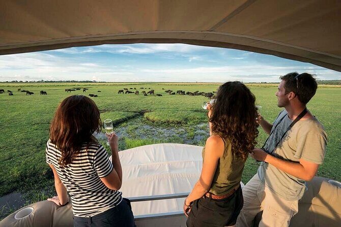 Chobe Day Trip From Victoria Falls Zimbabwe - Who Will Love This Trip?
