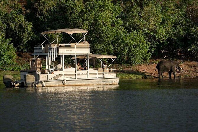 Chobe Day Trip From Victoria Falls Zimbabwe - Key Points