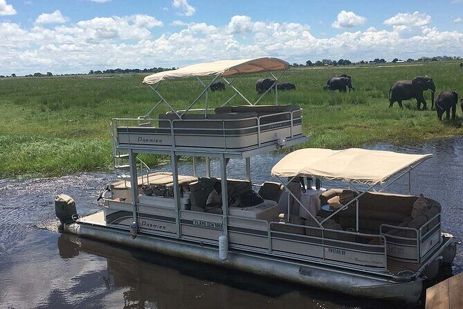 Chobe Day Trip From Victoria Falls Zimbabwe - Value and Pricing Analysis