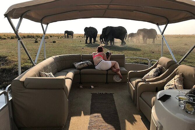 Chobe Day Trip From Victoria Falls Zimbabwe - Final Thoughts