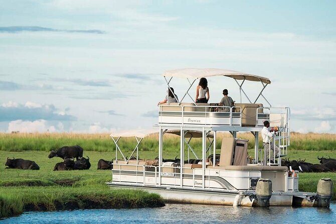 Chobe Day Trip From Victoria Falls Zimbabwe - FAQ