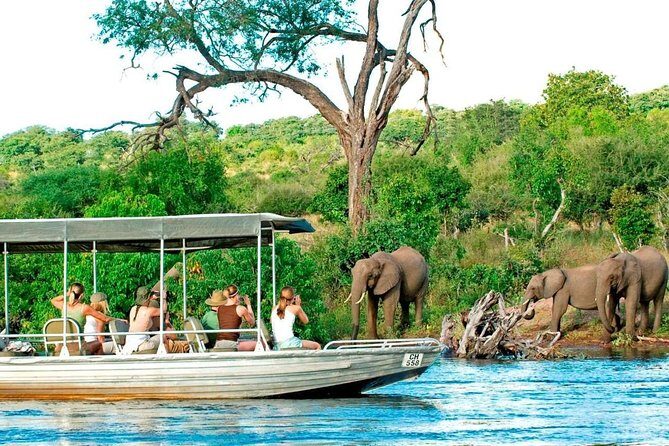 Chobe Day Trip in Botswana - FAQs