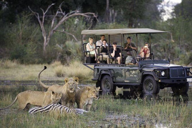 Chobe Extended Day Trip from Victoria Falls - Zimbabwe - Key Points