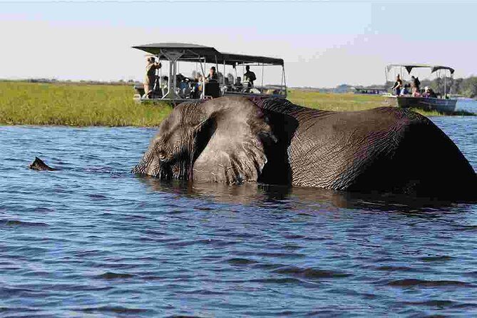 Chobe Extended Day Trip from Victoria Falls - Zimbabwe - An In-Depth Look at the Chobe Extended Day Trip