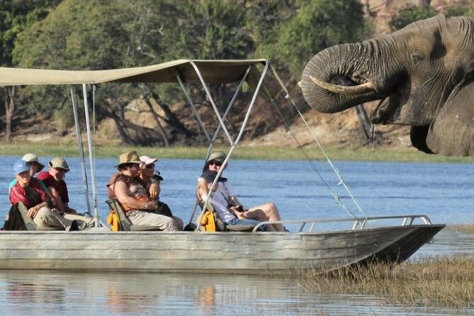 Chobe Extended Day Trip from Victoria Falls - Zimbabwe - Transportation and Group Size