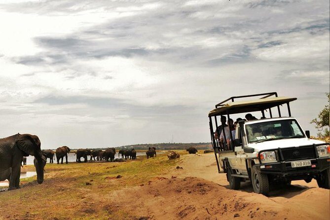 Chobe Extended Day Trip from Victoria Falls - Zimbabwe - FAQs