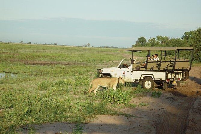 Chobe Full Day Safari From Victoria Falls - Key Points