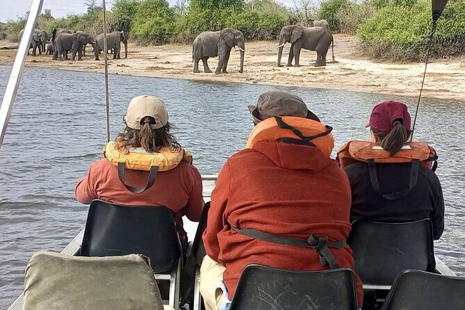 Chobe Full day Safari: Game Drive & Boat Safari with Lunch - Why This Tour Offers Great Value