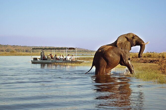 Chobe Full Day Safari Trip - Transportation and Group Size