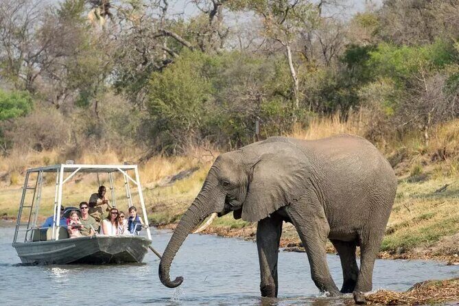 Chobe Full Day Safari Trip - Authenticity and Local Flavor