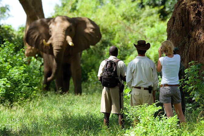 Chobe Full Day Safari Trip - Practical Tips for Travelers