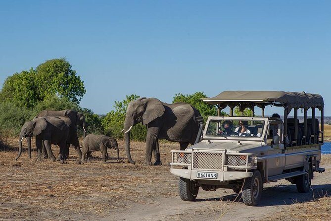 Chobe Full day Safari with Victoria falls Sunrise Tour Combo - Discovering the Chobe Full Day Safari & Victoria Falls Sunrise Tour Combo