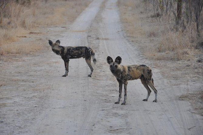 Chobe Full day Safari with Victoria falls Sunrise Tour Combo - In-Depth Look at the Tour Experience