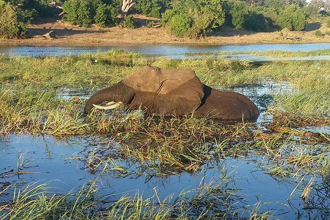 Chobe Full day Safari with Victoria falls Sunrise Tour Combo - The Sum Up: Who Should Consider This Tour?