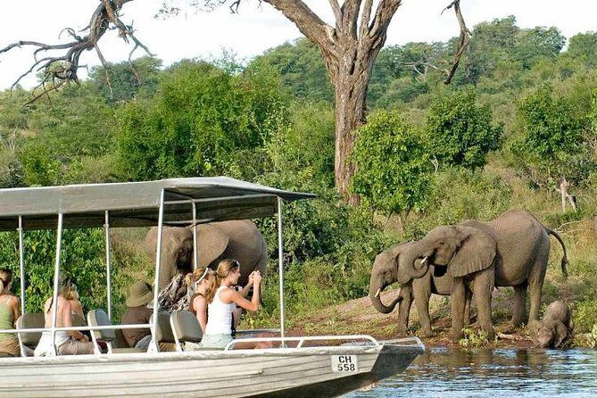 Chobe Full Day Trip - Chobe National Park: Land and Water Safaris