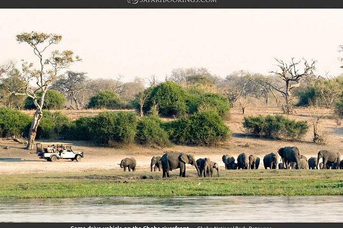 Chobe Full Day Trip - Key Points
