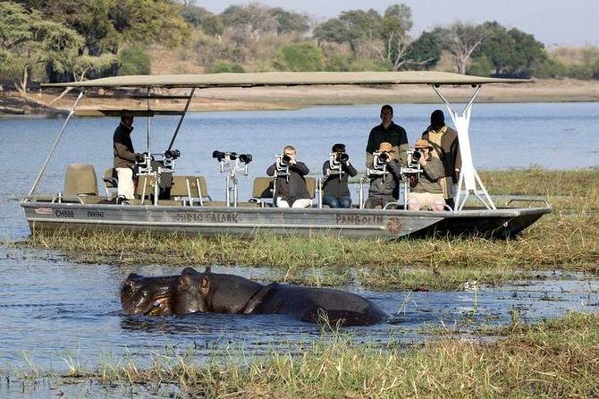 Chobe Full Day Trip - Frequently Asked Questions
