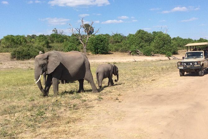 Chobe Full day Trip - Who Should Consider This Tour?