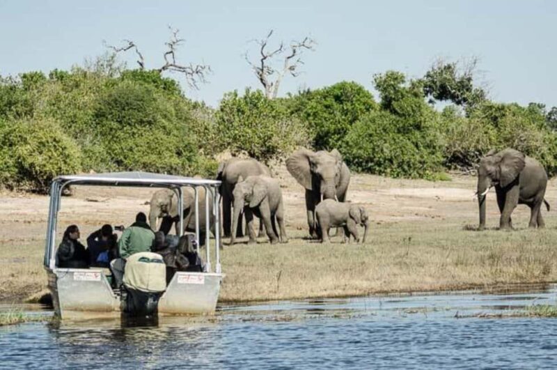 Chobe full day trip - Chobe National Park Botswana - An In-Depth Review of the Chobe Full Day Trip