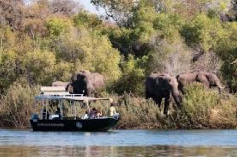 Chobe full day trip - Chobe National Park Botswana - Who Will Love This Tour?