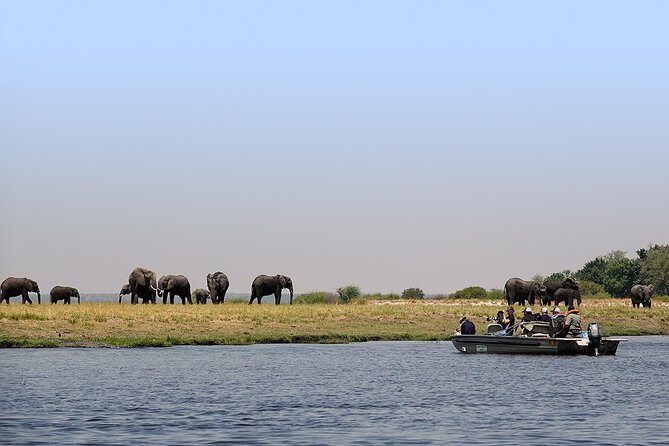 Chobe Full Day Trip From Victoria Falls - Who Should Consider This Tour?