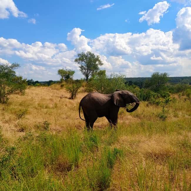 Chobe Half Day Trip from Victoria Falls - FAQs