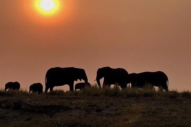Chobe national park 1 night camping-Botswana - What Could Be Better?