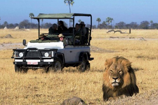 Chobe National Park 4X4 Day Safari and River Cruise - A Deep Dive into the Tour