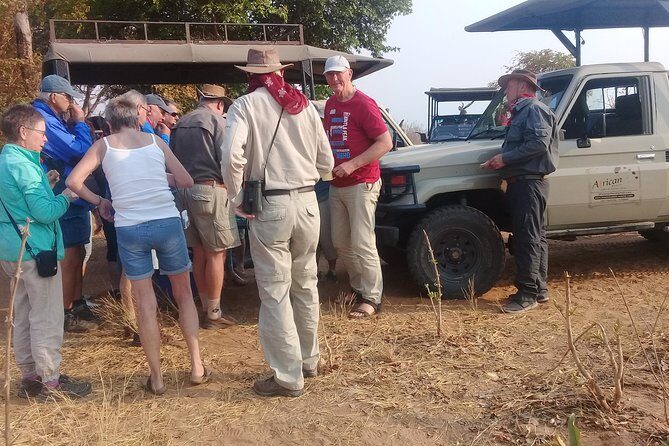 chobe national park 9hr full day game drive - Key Points