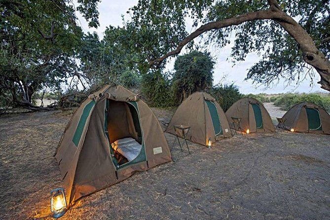 Chobe National Park Camping Safari From Victoria Falls (2 Days and 1 Night) - Who Is This Tour Best Suited For?