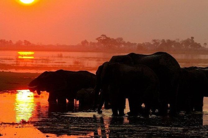 Chobe National Park Camping Safari From Victoria Falls (2 Days and 1 Night) - Final Thoughts: Is It Right for You?