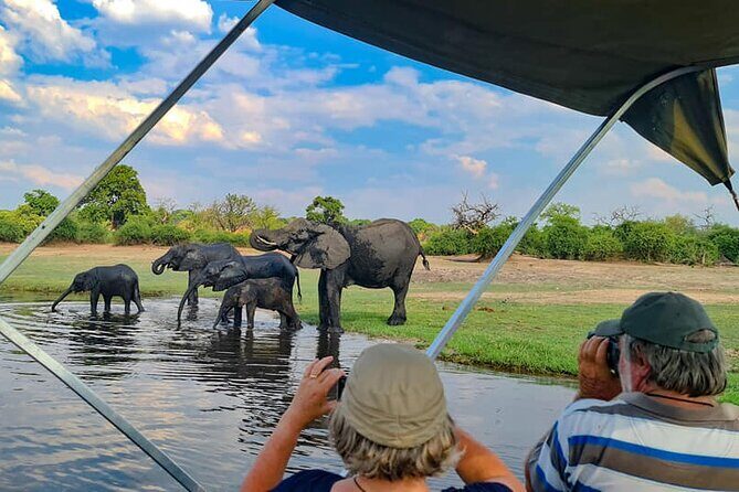 Chobe National Park Day Trip from Victoria Falls with Lunch - The Highlights of the Itinerary