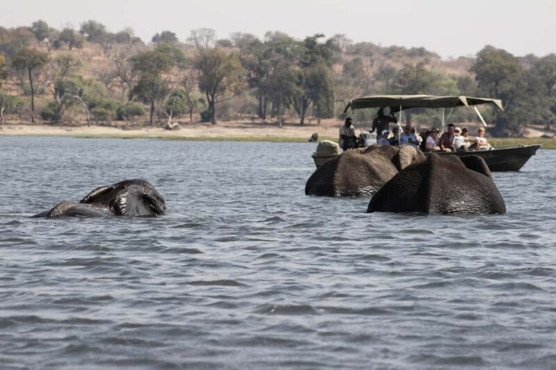 Chobe National Park Day Trip - A Full Breakdown of the Chobe National Park Day Trip