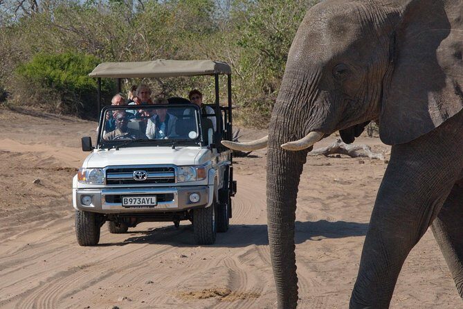 Chobe National Park Game Drive, Botswana - FAQs