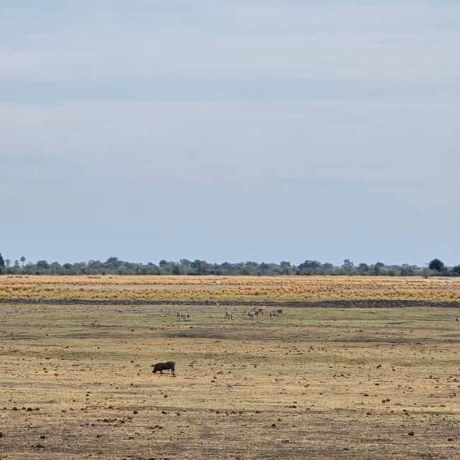 Chobe River Sunset Cruise - What the Experience Looks Like: From Pick-up to Sunset