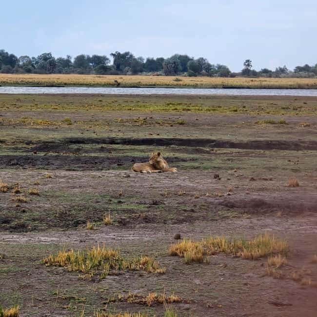 Chobe River Sunset Cruise - The Booking and Cancellation Flexibility