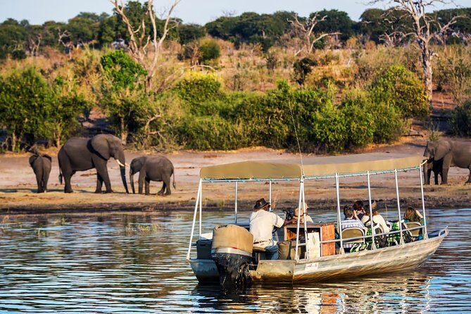 Chobe Safari Day Trip From Livingstone - What to Expect from the Tour