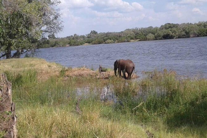Chobe Safari Day Trip From Livingstone - Who Will Love This Tour?