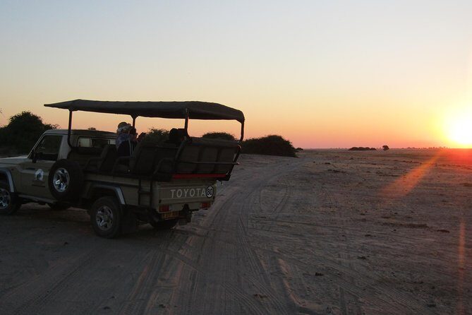 Chobe -Savuti Trail: Elephant& Big Cats ( 4 days 3 Nights) - An In-Depth Look at the Tour Experience