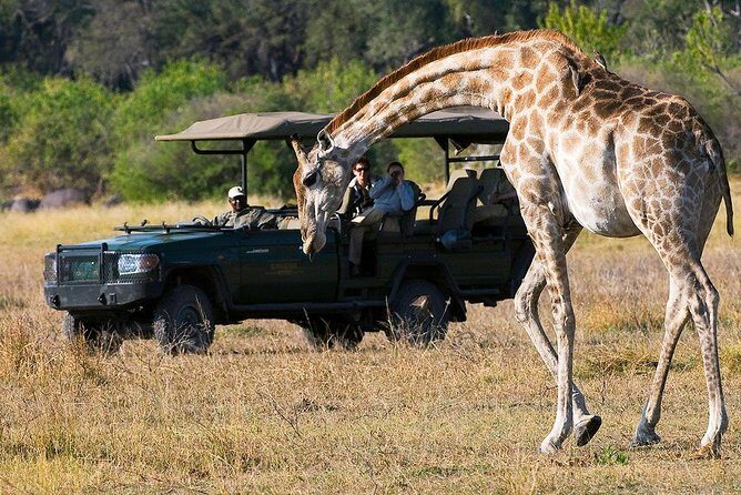 Chobe Sunrise upto Sunset Day trip from Victoria Falls 5AM - 7PM - Return Journey and Border Crossing