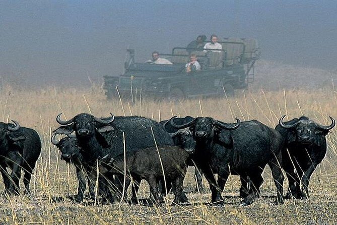 Chobe Sunrise upto Sunset Day trip from Victoria Falls 5AM - 7PM - Timing and Flexibility