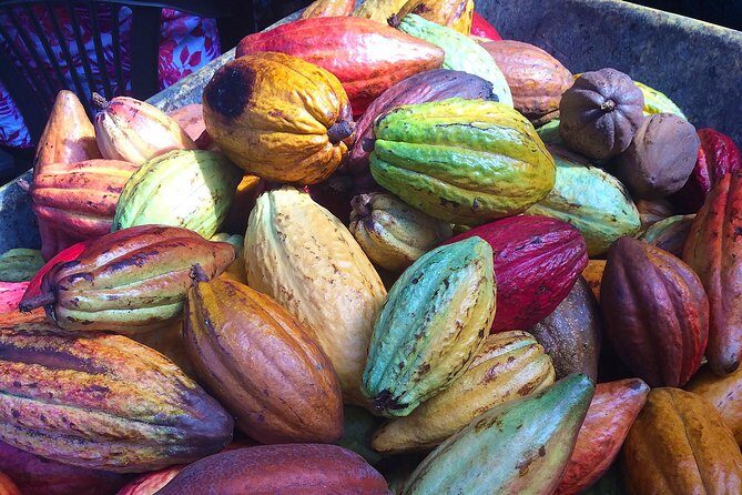 Chocolate and Cobblestones Tour with Taste of San Miguel - Key Points