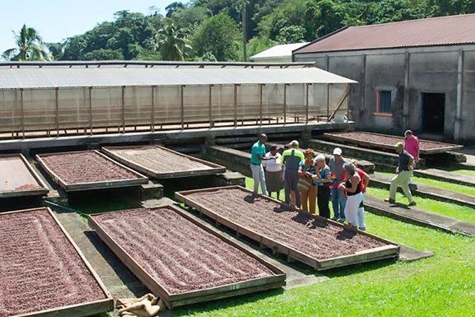Chocolate Factory Belmont Estate, Annandale Falls & Grand Etang Lake Tour - Key Points