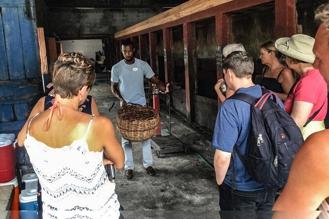 Chocolate Factory Belmont Estate, Annandale Falls & Grand Etang Lake Tour - A Detailed Look at the Tour Experience