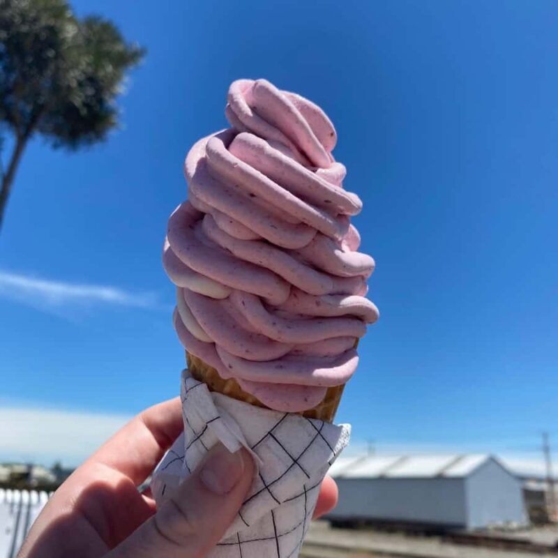 Chocolate Factory, Honey Visitor Centre and Ice Cream Tour - Final Thoughts