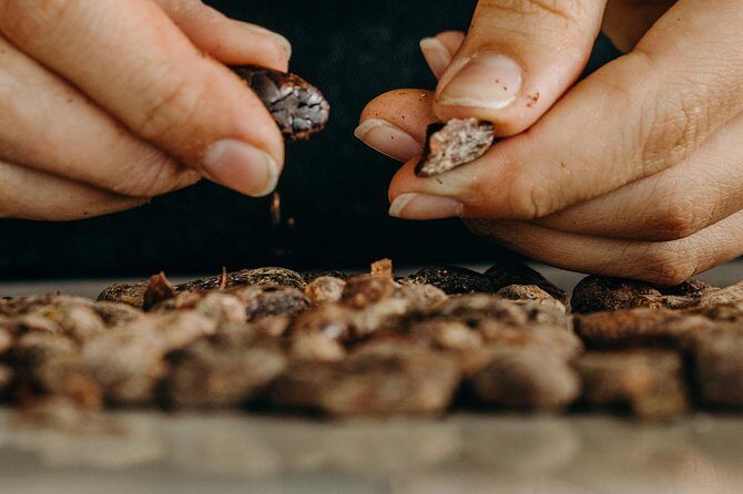 Chocolate Master Class & Taino Concept Store - Who Will Love This?