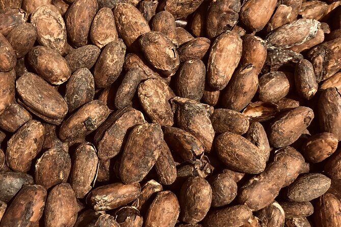 Chocolate Tour Including Hot Chocolate and Samples - Practical Details and Tips