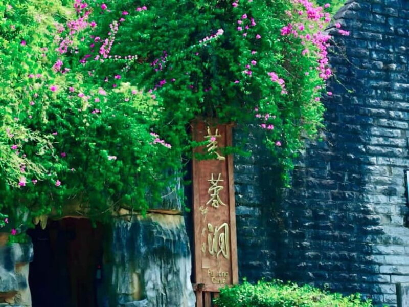 Chongqing Explore Wulong Private Day Tour - Introduction: Who This Tour Is For