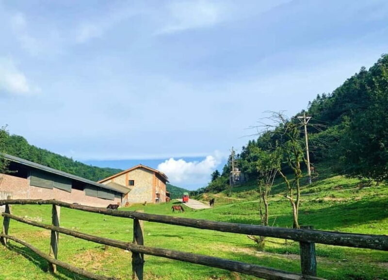 Chongqing One-Day Trip: Wulong's 3 Essentials - FAQ