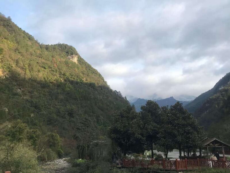 Chongqing:1-day Jinfoshan Mt hiketrip (licen guide,with car) - Practical Considerations and Tips